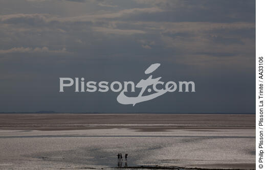 In the Bay of Mont Saint-Michel [AT] - © Philip Plisson / Plisson La Trinité / AA33106 - Photo Galleries - Backlit