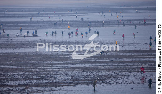 Fishing at low tide - © Philip Plisson / Plisson La Trinité / AA33176 - Photo Galleries - Fishing on foot for shellfish at low tide