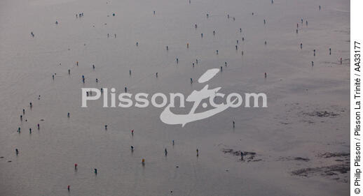 Fishing at low tide - © Philip Plisson / Plisson La Trinité / AA33177 - Photo Galleries - Quiberon bay [The]