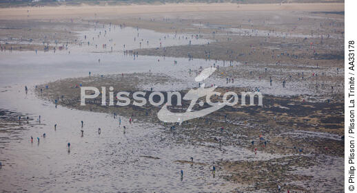 Fishing at low tide - © Philip Plisson / Plisson La Trinité / AA33178 - Photo Galleries - Fisherman