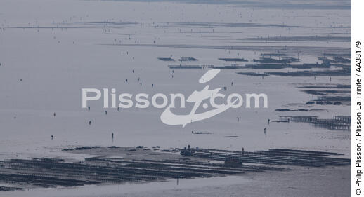 Fishing at low tide - © Philip Plisson / Plisson La Trinité / AA33179 - Photo Galleries - Fisherman