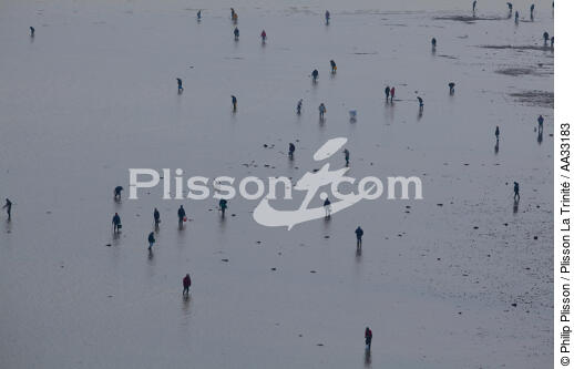 Fishing at low tide - © Philip Plisson / Plisson La Trinité / AA33183 - Photo Galleries - Tide