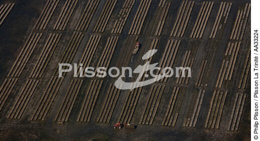 Bay of Painpol - © Philip Plisson / Plisson La Trinité / AA33224 - Photo Galleries - Shellfish farming