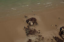 Bonaparte beach © Philip Plisson / Plisson La Trinité / AA33225 - Photo Galleries - Low tide