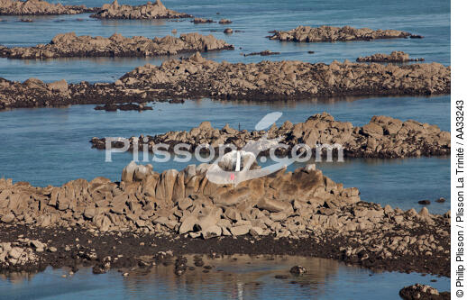 The Minquiers - © Philip Plisson / Plisson La Trinité / AA33243 - Photo Galleries - Low tide