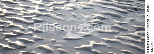Low tide - © Philip Plisson / Plisson La Trinité / AA33273 - Photo Galleries - Big tides