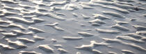 Low tide © Philip Plisson / Plisson La Trinité / AA33273 - Photo Galleries - Big tides