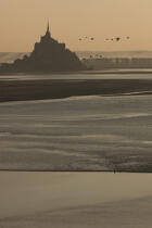 Mont-Saint-Michel bay tidal bore © Philip Plisson / Plisson La Trinité / AA33405 - Photo Galleries - Normandie