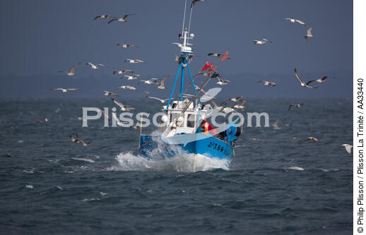 Back from fishing - © Philip Plisson / Plisson La Trinité / AA33440 - Photo Galleries - Douarnenez [The Bay of]