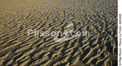 La Bernerie en Retz - © Philip Plisson / Plisson La Trinité / AA33492 - Nos reportages photos - Marée basse