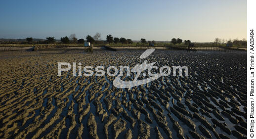 La Bernerie en Retz - © Philip Plisson / Plisson La Trinité / AA33494 - Photo Galleries - Sand