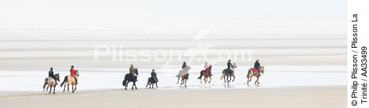 On the beach in Le Touquet - © Philip Plisson / Plisson La Trinité / AA33499 - Photo Galleries - Horse trekking