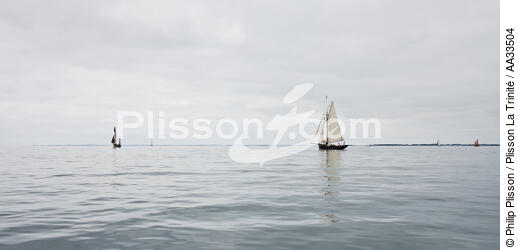  - © Philip Plisson / Plisson La Trinité / AA33504 - Photo Galleries - Old gaffer
