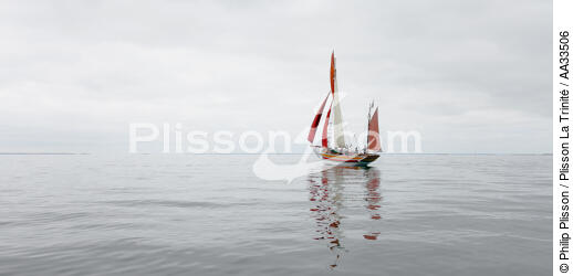  - © Philip Plisson / Plisson La Trinité / AA33506 - Photo Galleries - Crayfish fishing boat