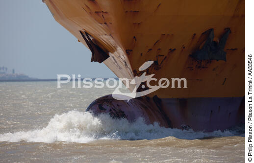Guadalquivir Estuary - © Philip Plisson / Plisson La Trinité / AA33546 - Photo Galleries - Stem