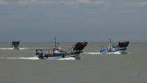 Estuaire du Guadalquivir © Philip Plisson / Plisson La Trinité / AA33547 - Nos reportages photos - Bateau de pêche
