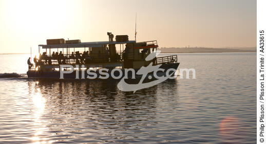 Ile de Faro - © Philip Plisson / Plisson La Trinité / AA33615 - Nos reportages photos - Transport maritime
