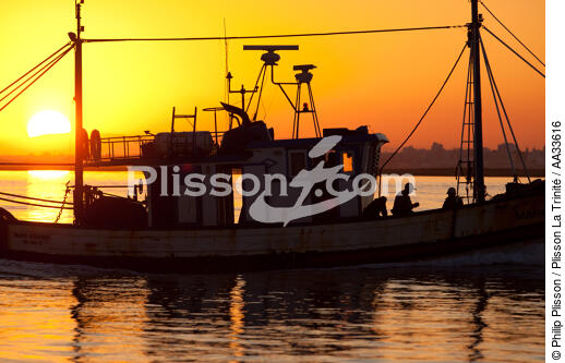 Ile de Faro - © Philip Plisson / Plisson La Trinité / AA33616 - Nos reportages photos - Contre-jour