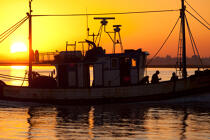 Faro island © Philip Plisson / Plisson La Trinité / AA33616 - Photo Galleries - Fishing vessel