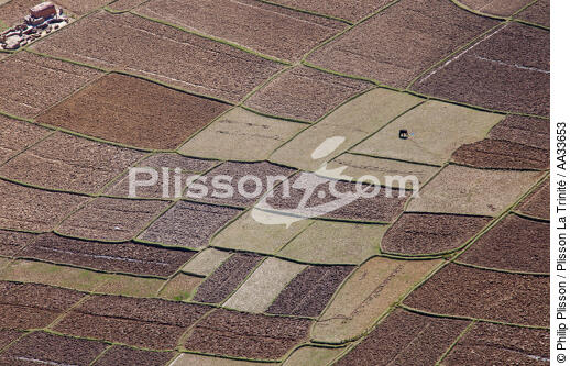 Between tana and Andevorento - © Philip Plisson / Plisson La Trinité / AA33653 - Photo Galleries - Agriculture