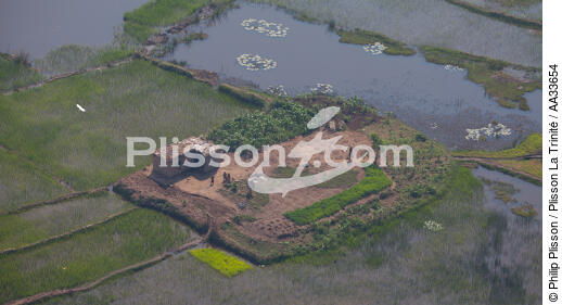 Entre Tana et Andevoranto - © Philip Plisson / Plisson La Trinité / AA33654 - Nos reportages photos - Agriculture