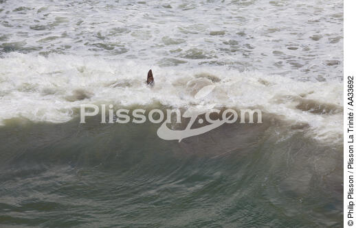Andevorento, Est coast - © Philip Plisson / Plisson La Trinité / AA33692 - Photo Galleries - Wave