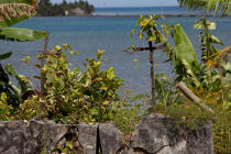 Sainte-Marie island © Philip Plisson / Plisson La Trinité / AA33793 - Photo Galleries - Cemetery