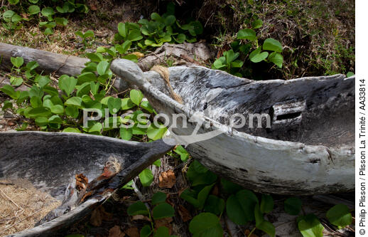 Sainte-Marie island - © Philip Plisson / Plisson La Trinité / AA33814 - Photo Galleries - Island [Madagascar]