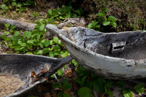 Sainte-Marie island © Philip Plisson / Plisson La Trinité / AA33814 - Photo Galleries - Rowing boat