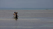 Sainte-Marie island © Philip Plisson / Plisson La Trinité / AA33821 - Photo Galleries - Island [Madagascar]