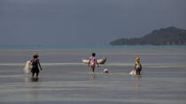 Ile Sainte-Marie, Madagascar © Philip Plisson / Plisson La Trinité / AA33823 - Nos reportages photos - Ile [Madagascar]