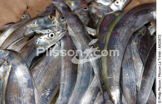 Seine fishing on Moroantsetra beach - © Philip Plisson / Plisson La Trinité / AA33872 - Photo Galleries - Fish