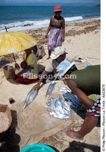 Senne sur la plage de Moroantsetra - © Philip Plisson / Plisson La Trinité / AA33879 - Nos reportages photos - Pêche à la senne