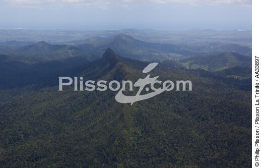 Parc national de Masoloa , Madagascar - © Philip Plisson / Plisson La Trinité / AA33897 - Nos reportages photos - Montagne
