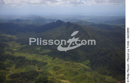 Parc national de Masoloa , Madagascar - © Philip Plisson / Plisson La Trinité / AA33899 - Nos reportages photos - Montagne