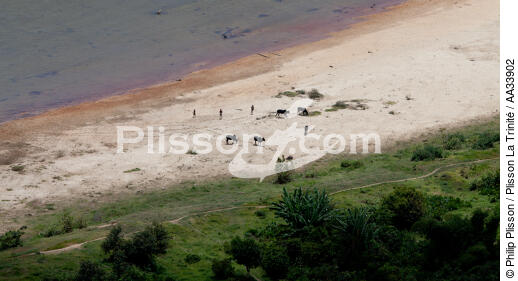 Parc national de Masoloa , Madagascar - © Philip Plisson / Plisson La Trinité / AA33902 - Nos reportages photos - Bateau à rames