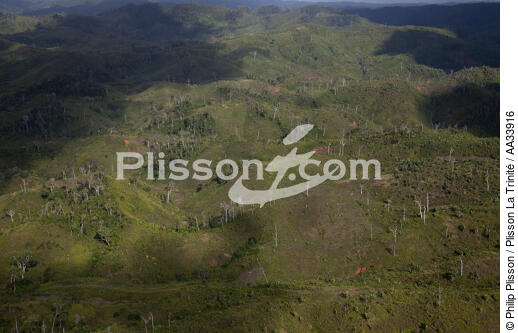 Entre Soanierana et Moroantsetra, Ma - © Philip Plisson / Plisson La Trinité / AA33916 - Nos reportages photos - Montagne