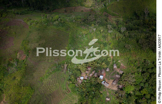 Entre Soanierana et Moroantsetra, Ma - © Philip Plisson / Plisson La Trinité / AA33917 - Nos reportages photos - Agriculture