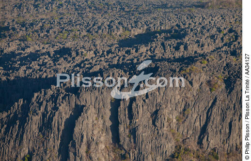 From Diégo to Nosy-Be - © Philip Plisson / Plisson La Trinité / AA34127 - Photo Galleries - Interior landscape