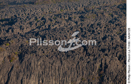 From Diégo to Nosy-Be - © Philip Plisson / Plisson La Trinité / AA34128 - Photo Galleries - Interior landscape