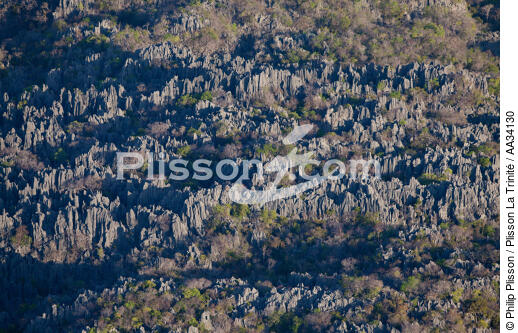 From Diégo to Nosy-Be - © Philip Plisson / Plisson La Trinité / AA34130 - Photo Galleries - Interior landscape