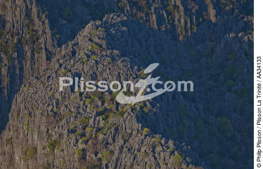 From Diégo to Nosy-Be - © Philip Plisson / Plisson La Trinité / AA34133 - Photo Galleries - Interior landscape