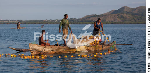 Nosy-Be - © Philip Plisson / Plisson La Trinité / AA34196 - Nos reportages photos - Petite pêche