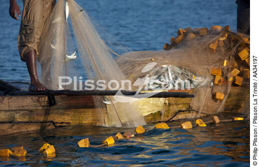 Nosy-Be - © Philip Plisson / Plisson La Trinité / AA34197 - Nos reportages photos - Filet de pêche