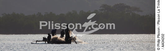 Nosy-Be - © Philip Plisson / Plisson La Trinité / AA34202 - Nos reportages photos - Petite pêche