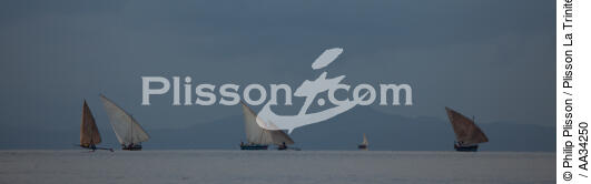 Nosy Be - © Philip Plisson / Plisson La Trinité / AA34250 - Nos reportages photos - Bateau à rames