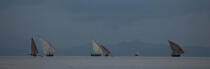 Nosy Be © Philip Plisson / Plisson La Trinité / AA34250 - Photo Galleries - Rowing boat