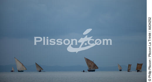 Nosy Be - © Philip Plisson / Plisson La Trinité / AA34252 - Nos reportages photos - Ile [Madagascar]