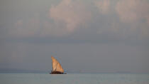 Nosy Be © Philip Plisson / Plisson La Trinité / AA34261 - Photo Galleries - Rowing boat