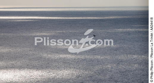 Boutre Malgache - © Philip Plisson / Plisson La Trinité / AA34418 - Nos reportages photos - Environnement